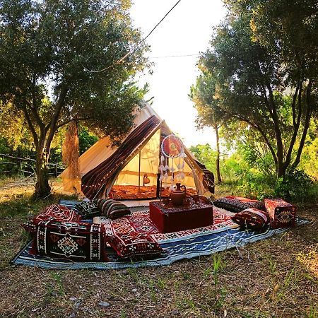 Butterfly Valley Beach Glamping With Food Ölüdeniz Exterior foto