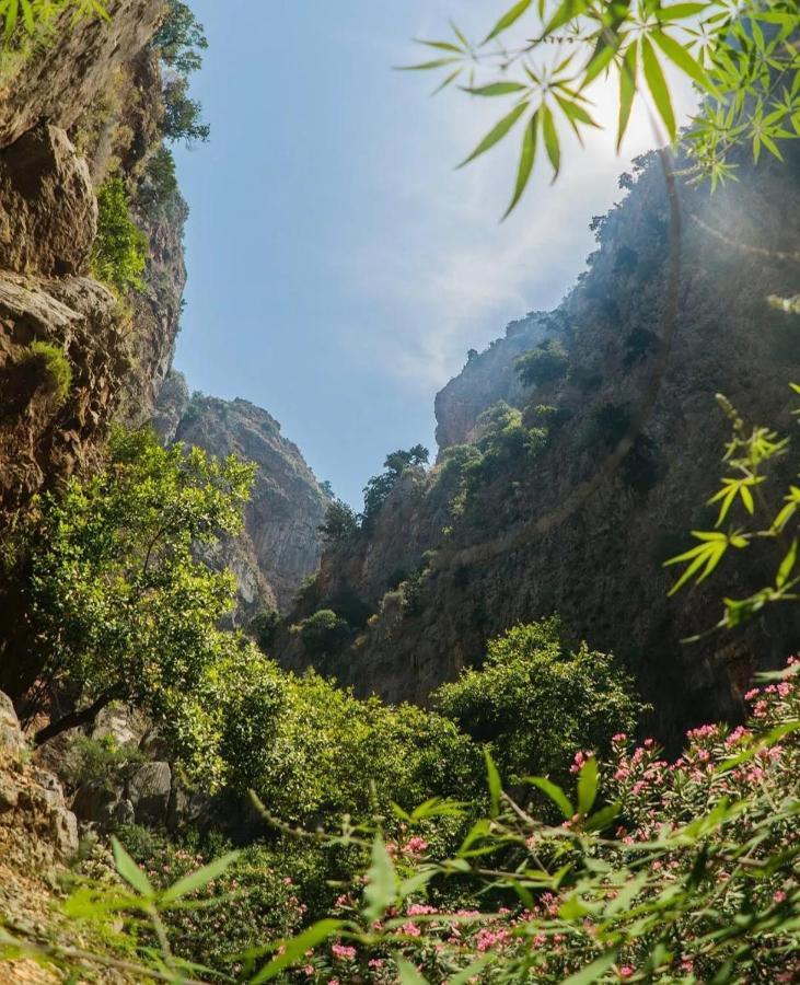 Butterfly Valley Beach Glamping With Food Ölüdeniz Exterior foto